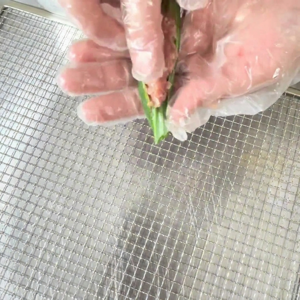 Ręka w rękawiczce kuchennej nakładająca mieszankę mięsną do przepołowionego strąka okry.