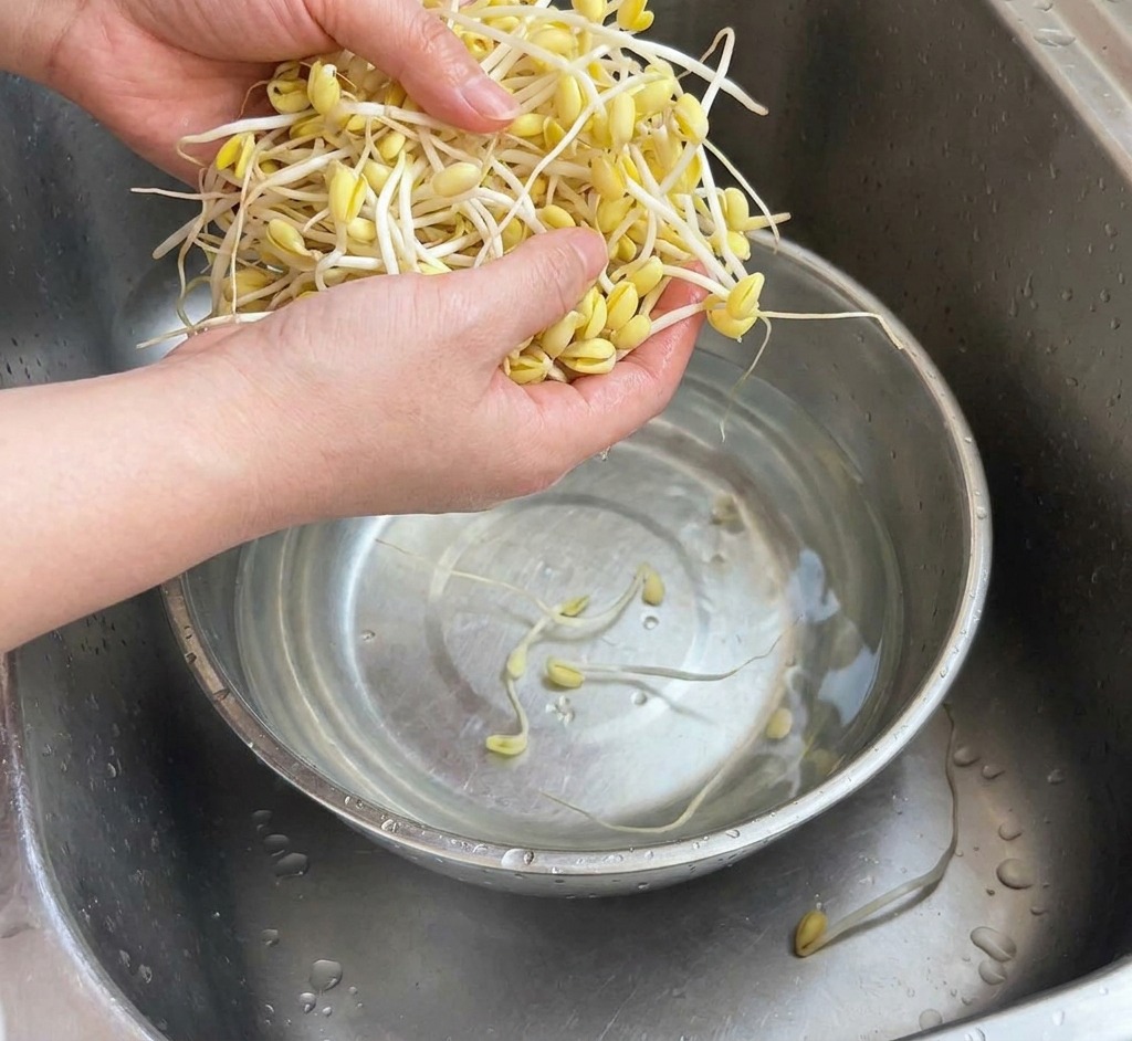 Dłonie płuczące dużą porcję jasnych kiełków fasoli w stalowej misce pod kuchennym kranem.