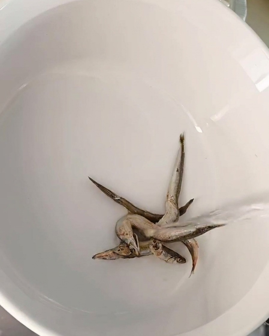 Kilka suszonych anchois na dnie garnka, do którego wlewana jest czysta woda.