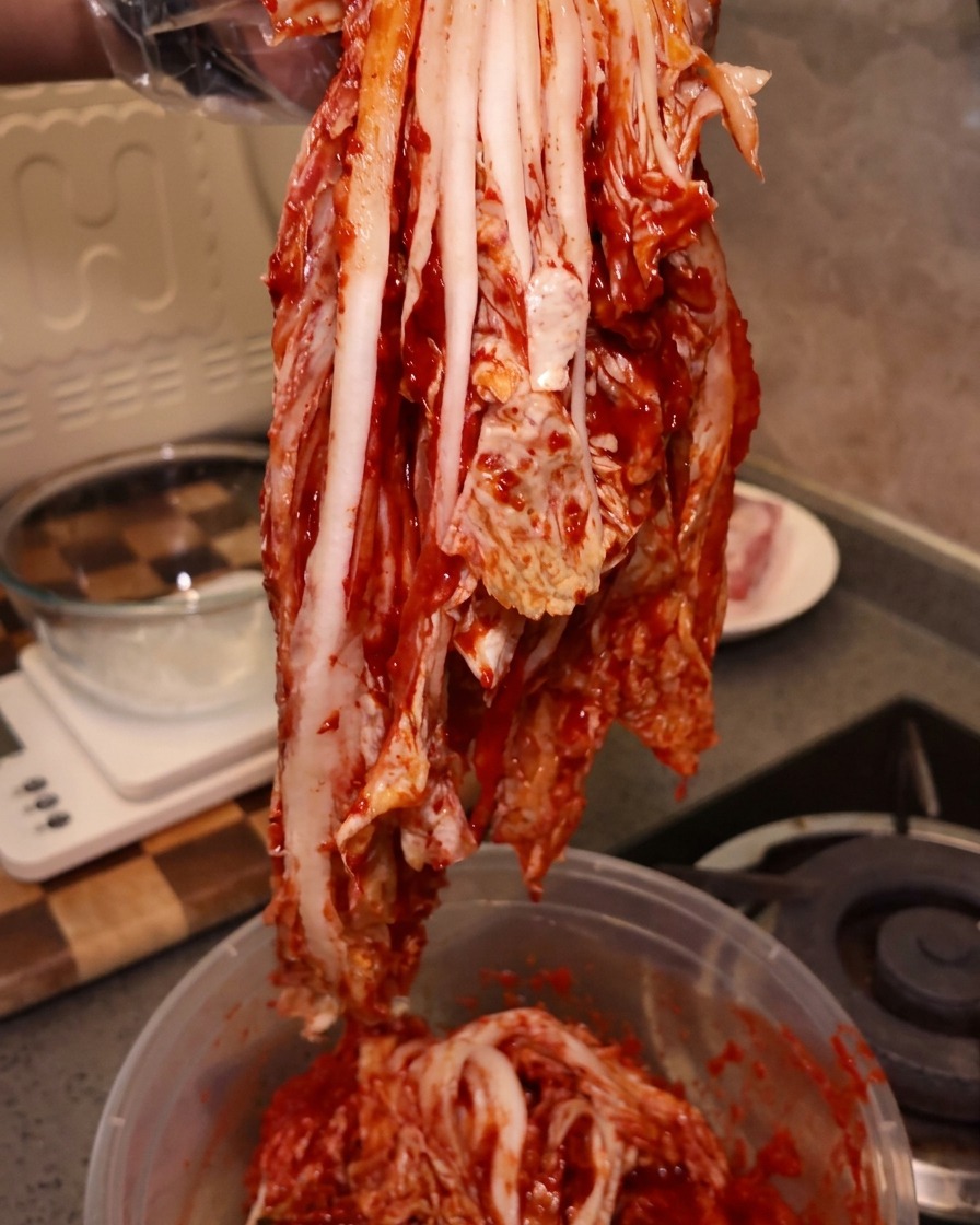 Duży, niepokrojony kawałek czerwonego, kwaśnego kimchi trzymany w rękawiczce.
