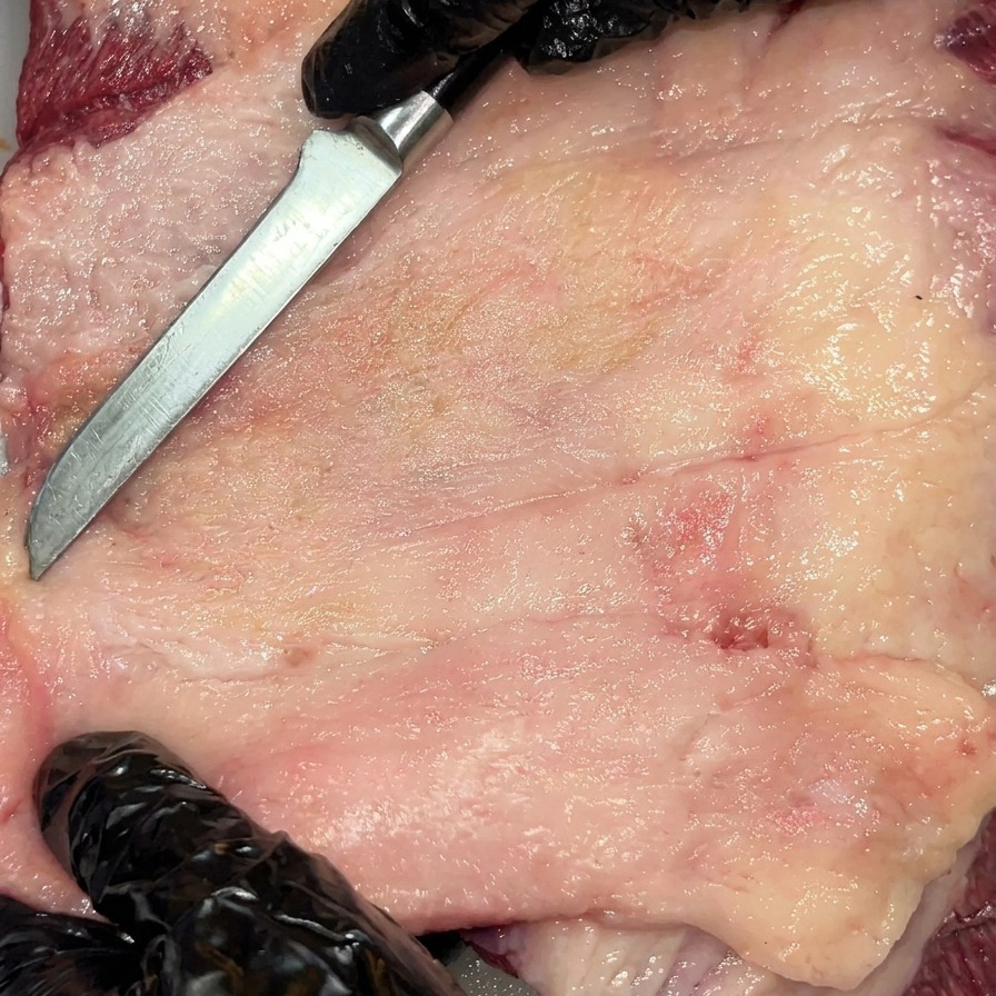 Gruboziarnista sól morska równomiernie posypywana na surową, przyciętą powierzchnię mostka Wagyu.